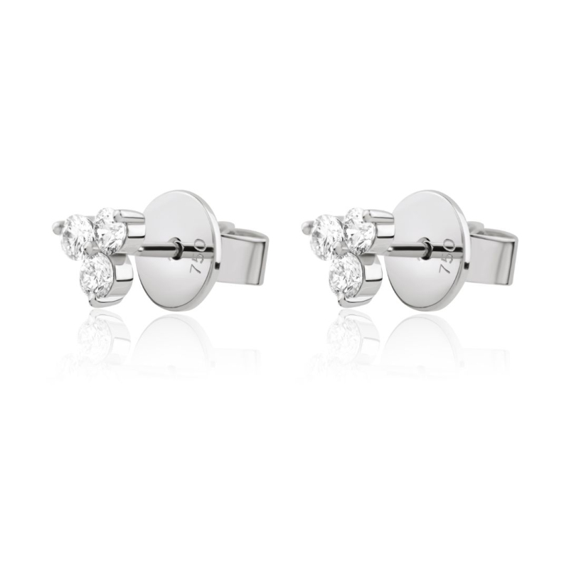 Puces d'oreilles