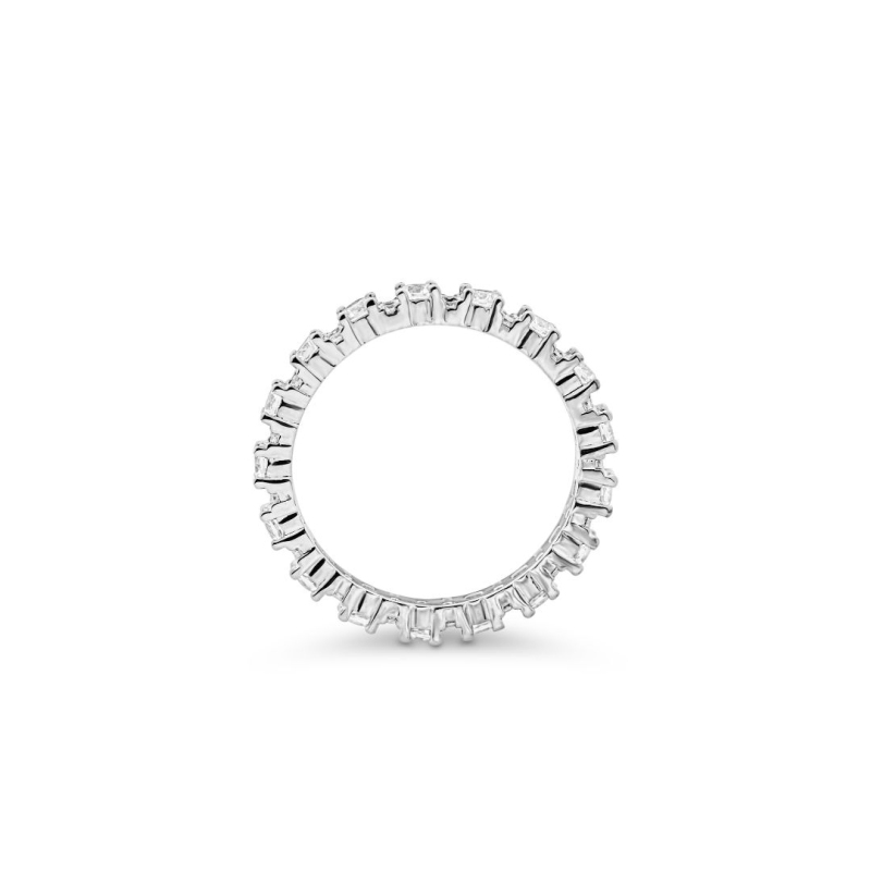 Alliance complete Excellence Argent... Alliance complete Excellence Argent...