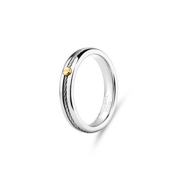 Alliance Excellence en Acier 316L & Or 18K