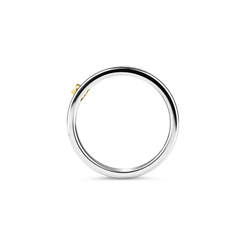 Alliance Excellence en Acier 316L &... Alliance Excellence en Acier 316L &...