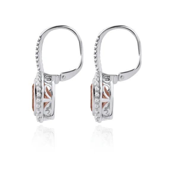 Boucles dormeuses en Argent