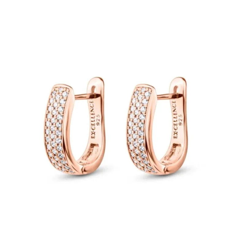 Boucles Excellence en Argent