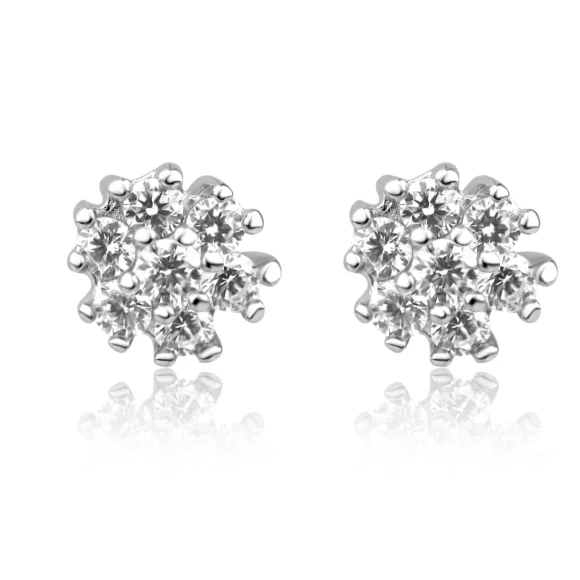 Puces d'oreilles en Argent