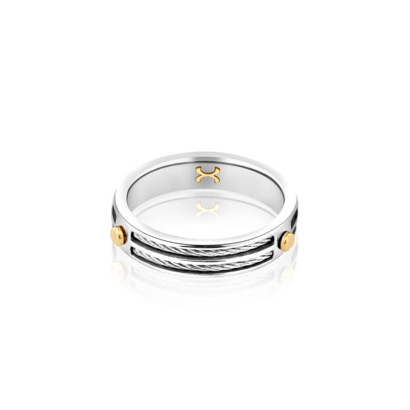 Alliance Excellence Acier 316L & Or 18K