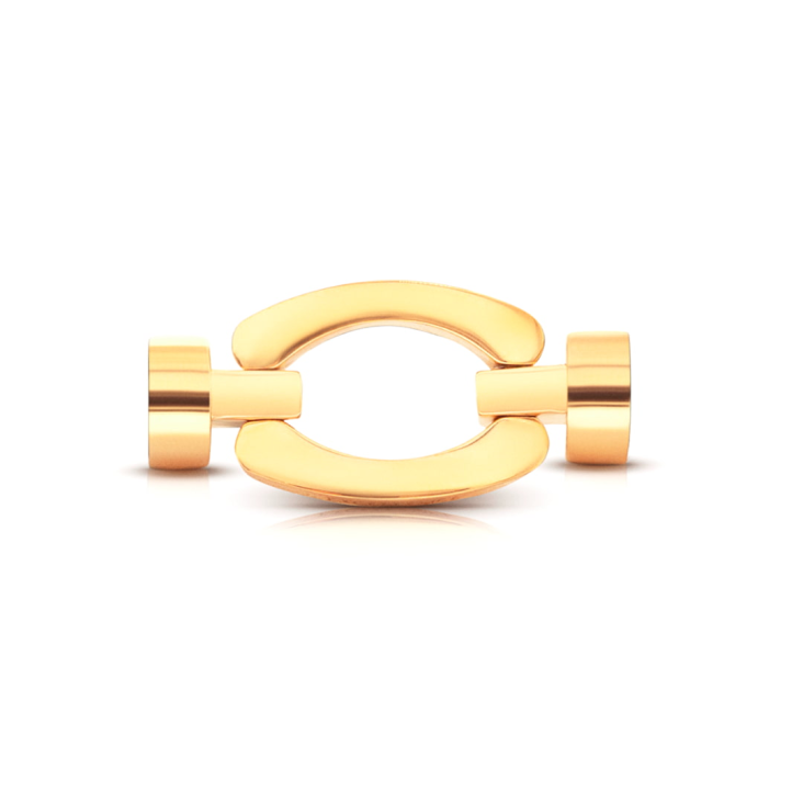 Fermoir Excellence Caméléon Acier 316 L YLS